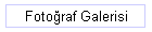 Foto�raf Galerisi