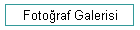 Foto�raf Galerisi